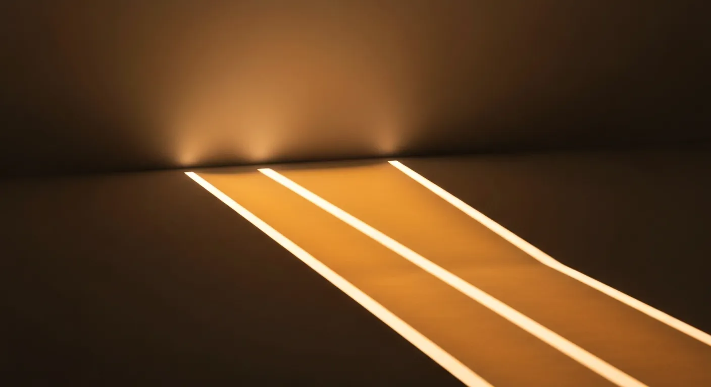 セクション画像2